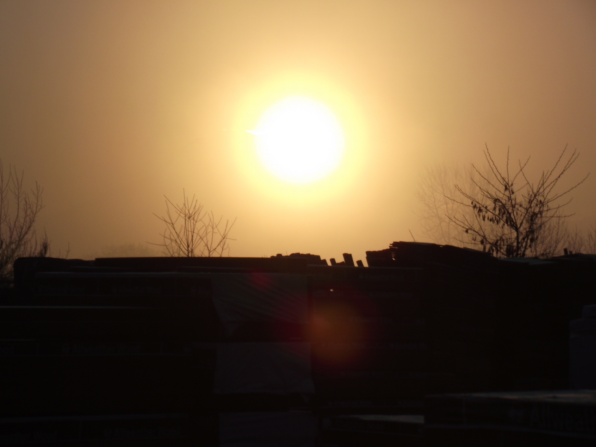 DSCF0085
