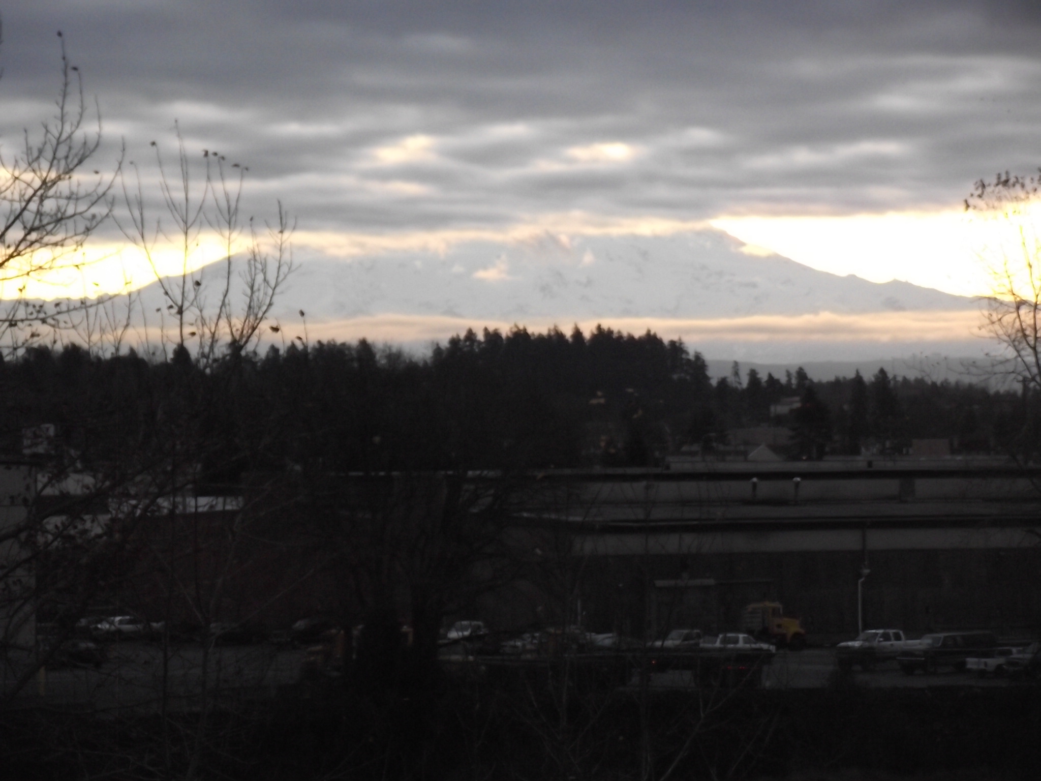 DSCF0249