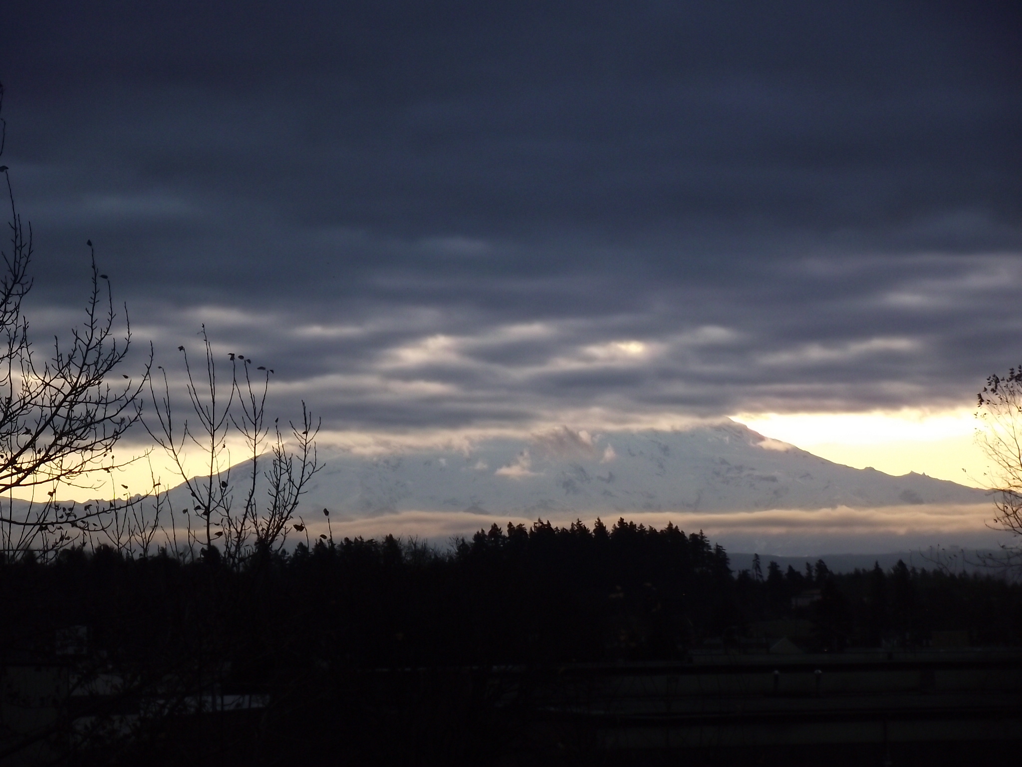 DSCF0250 (2)