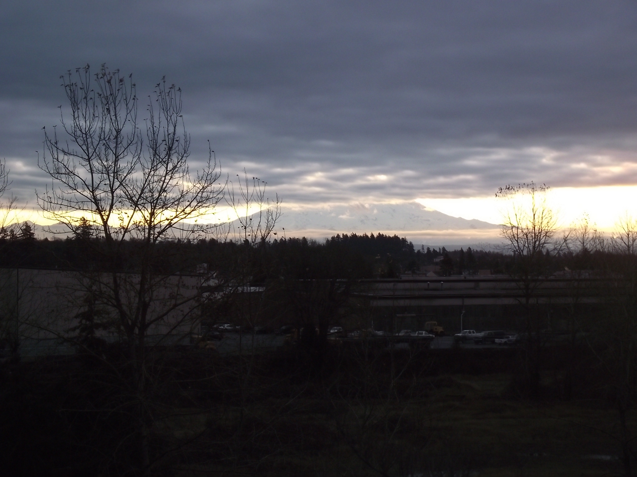 DSCF0251 (2)