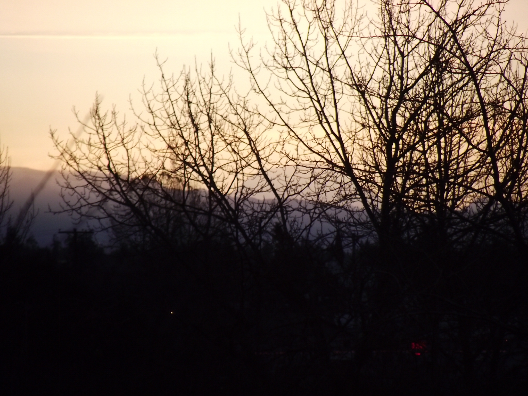 DSCF0252