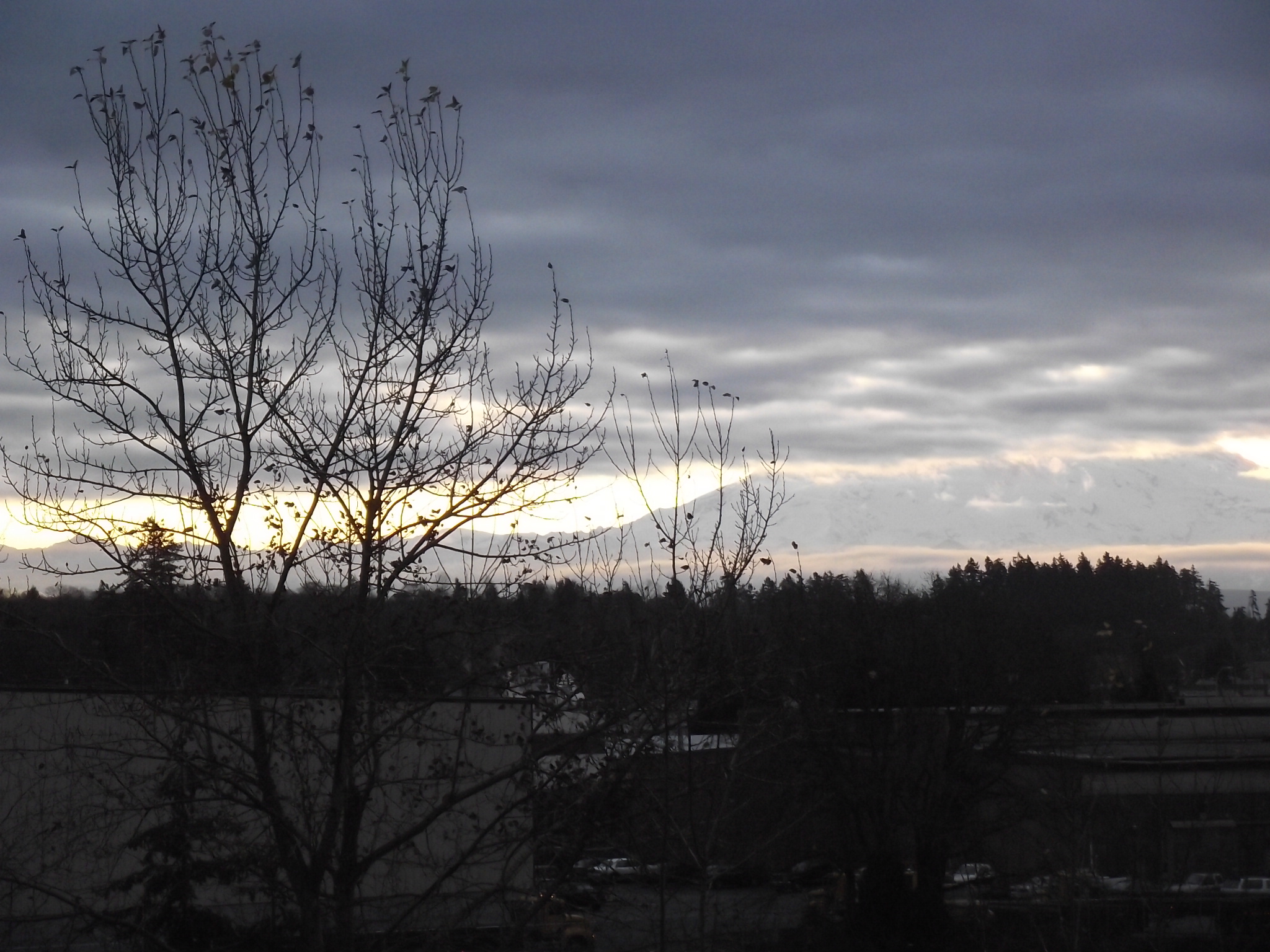 DSCF0253