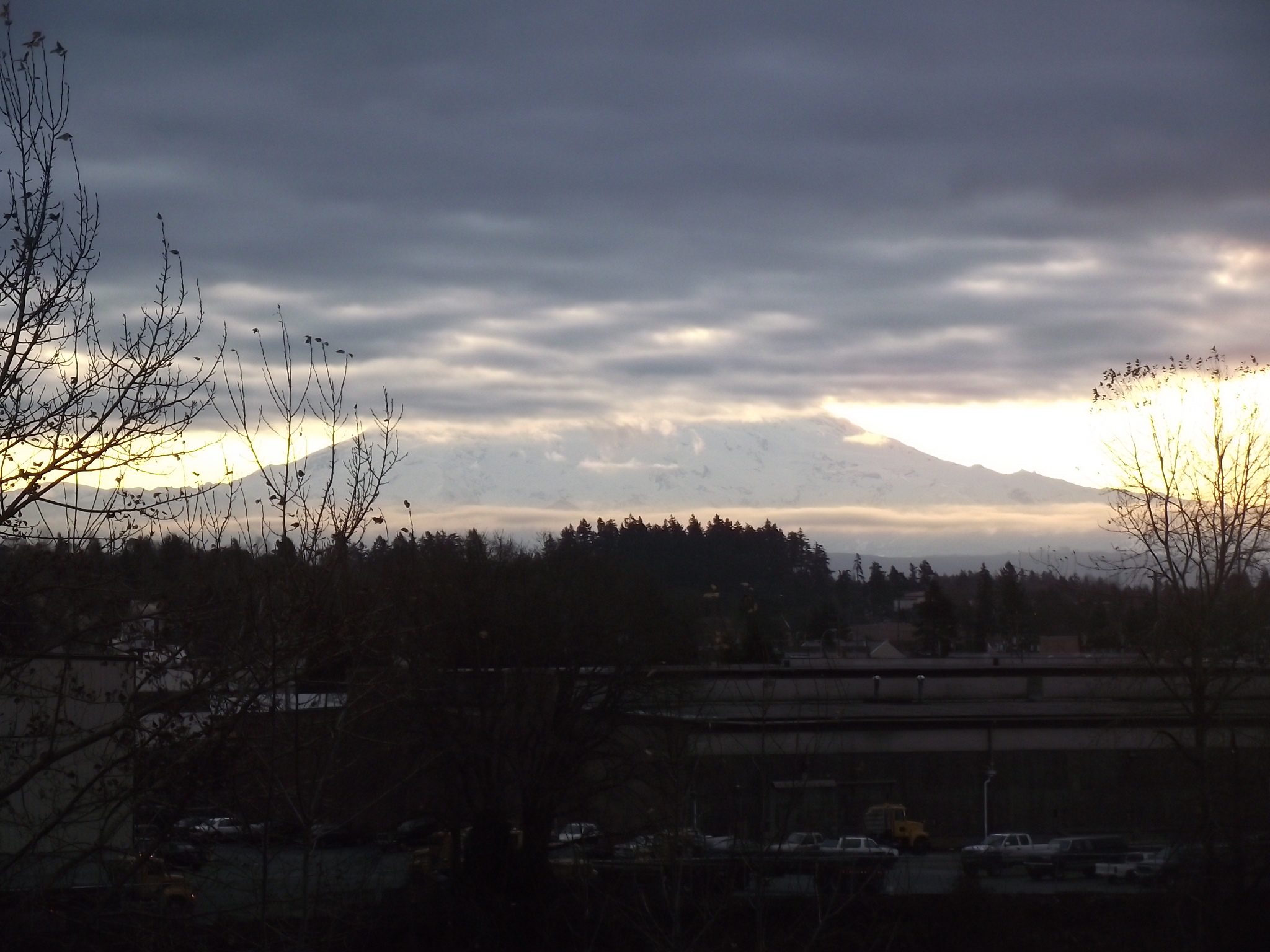 DSCF0254