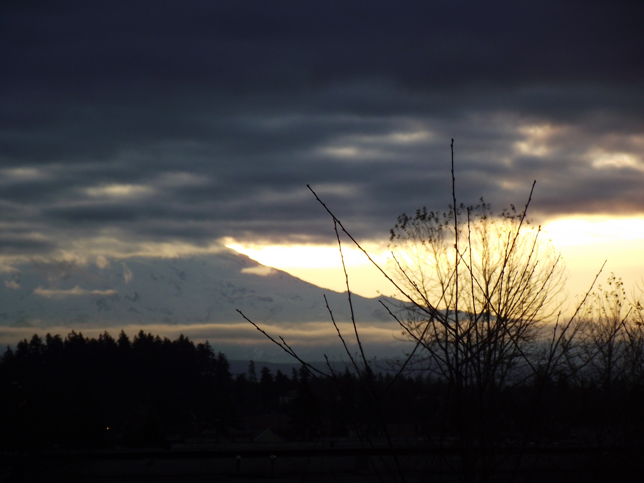 DSCF0255
