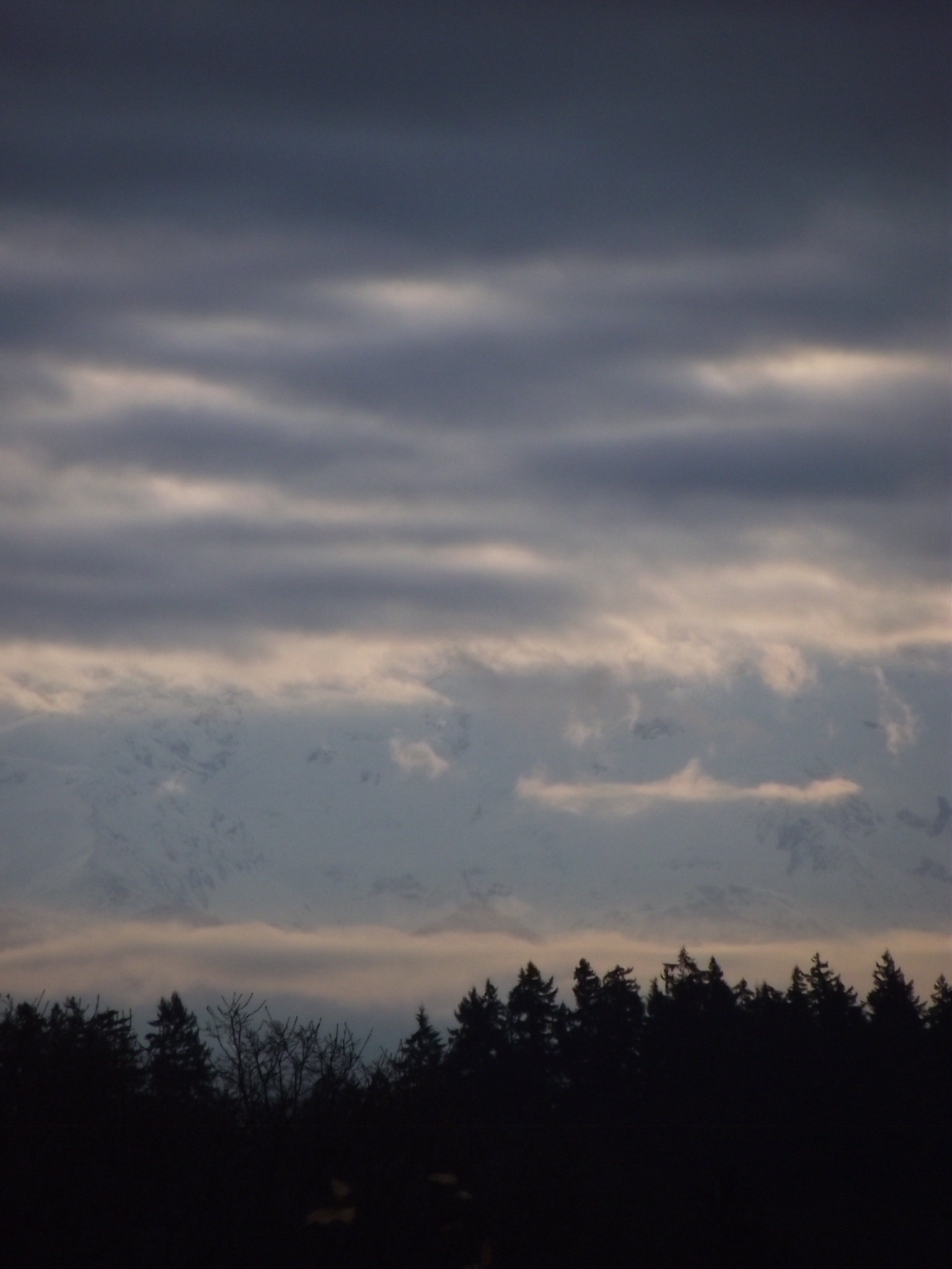 DSCF0256 (2)
