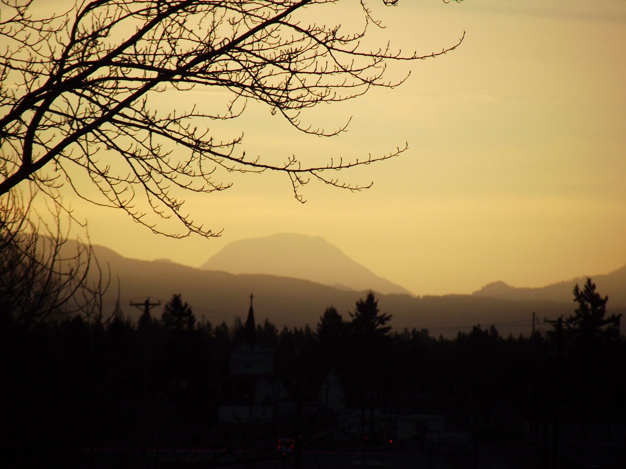 DSCF0258 (2)