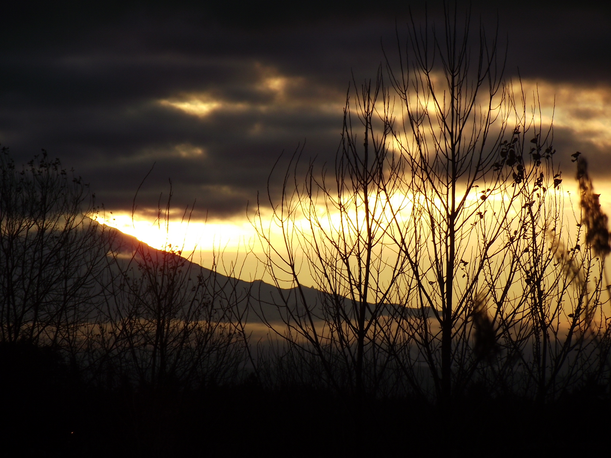 DSCF0259