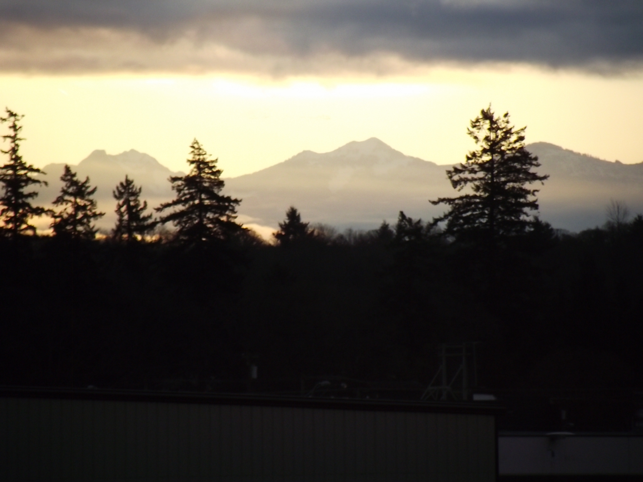 DSCF0264