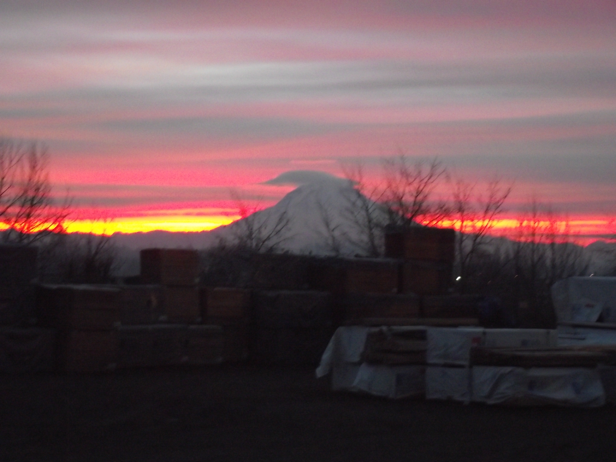 DSCF0078