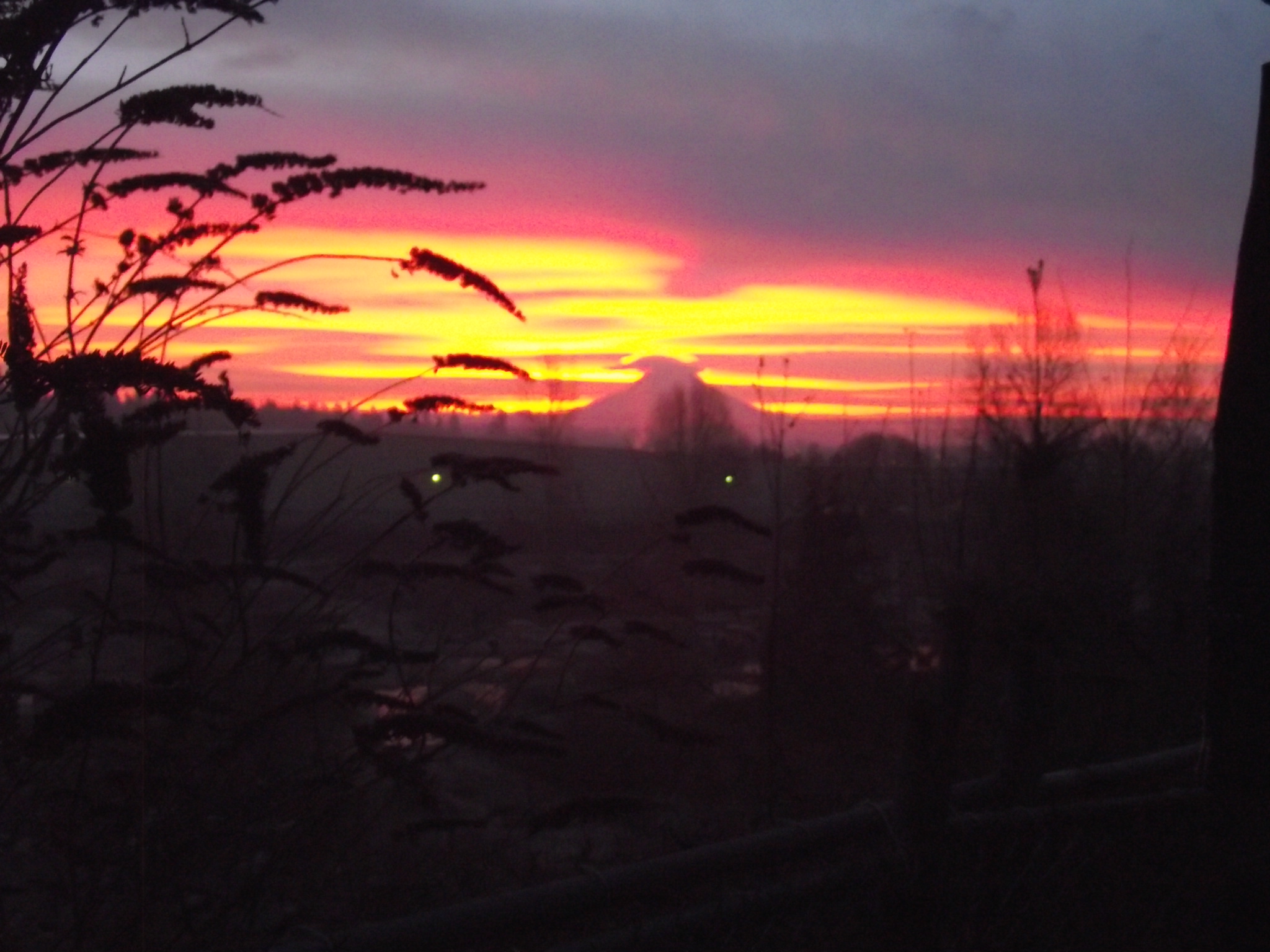 DSCF0099