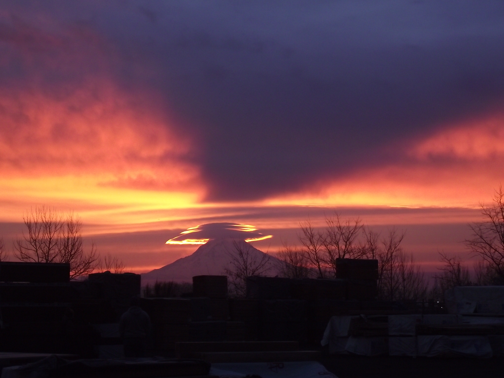 DSCF0105