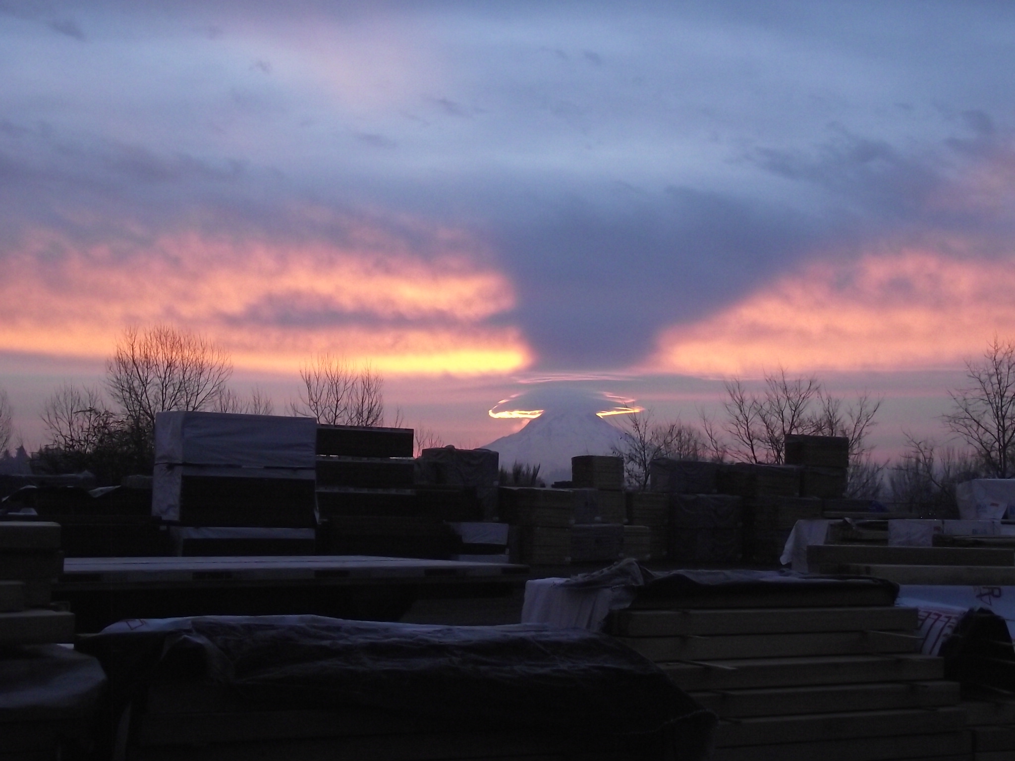 DSCF0113