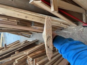 1X6-8' Western Red Cedar Utility Grade Tongue and Groove