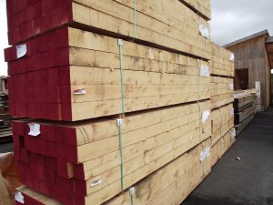 8X8 Alaskan Yellow Cedar Rough, Appearance grade - Image 3