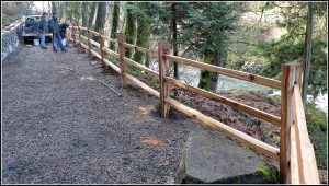 Split Rail Pony Weight 10' rails